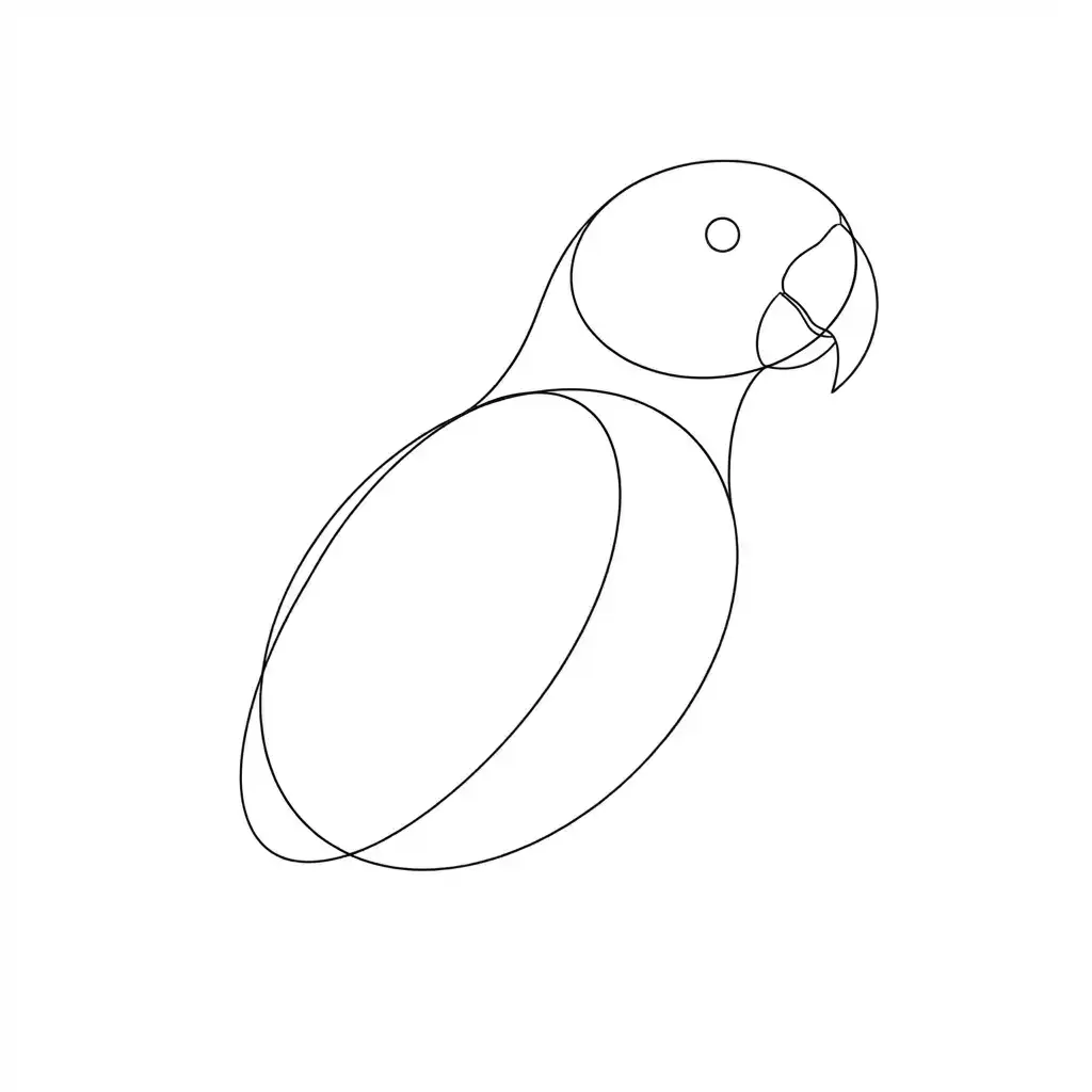 jak narysować papugę